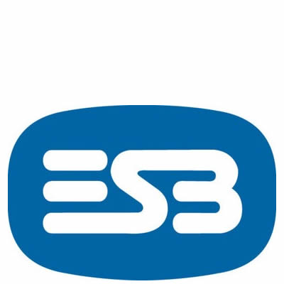 ESB (Electricity Supply Bord) Logo